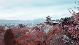 【本州半自助】<本州大阪京都奈良东京半自助六天游>