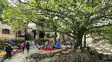【千年黄姚·姑婆山温泉】<千 年黄姚古镇、姑婆山森林公园 、天沐温泉/网红荷塘村>高铁三天 4人成团