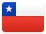 智利签证办理