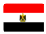 埃及签证办理