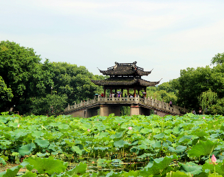 景点：曲院风荷