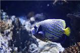珠海海洋馆