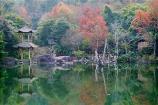 野趣沟