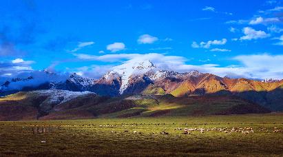 景点：唐古拉山口