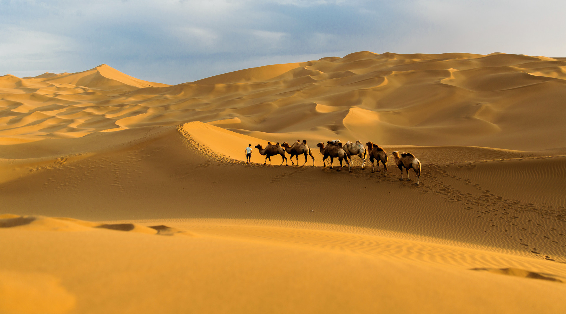 库木塔格沙漠封面图