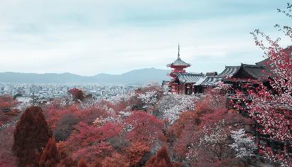 景点：京都