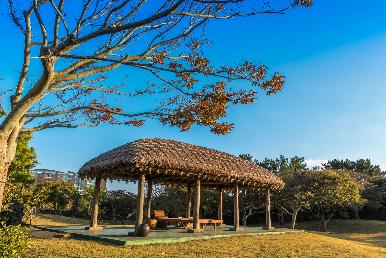 景点：济州民俗村