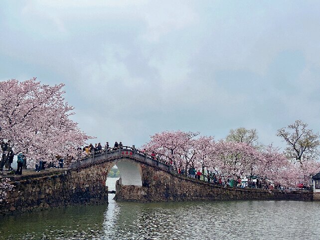 鼋头渚封面图
