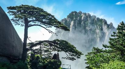 景点：黄山迎客松