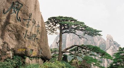 【细品黄山】<大美黄山、秀里古村高铁四天团>