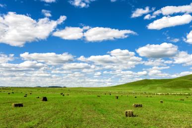 景点：乌兰布统草原