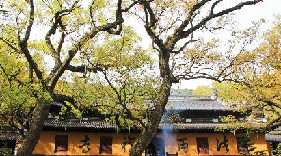 景点：舟山法雨寺