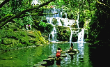 鼎湖山风光