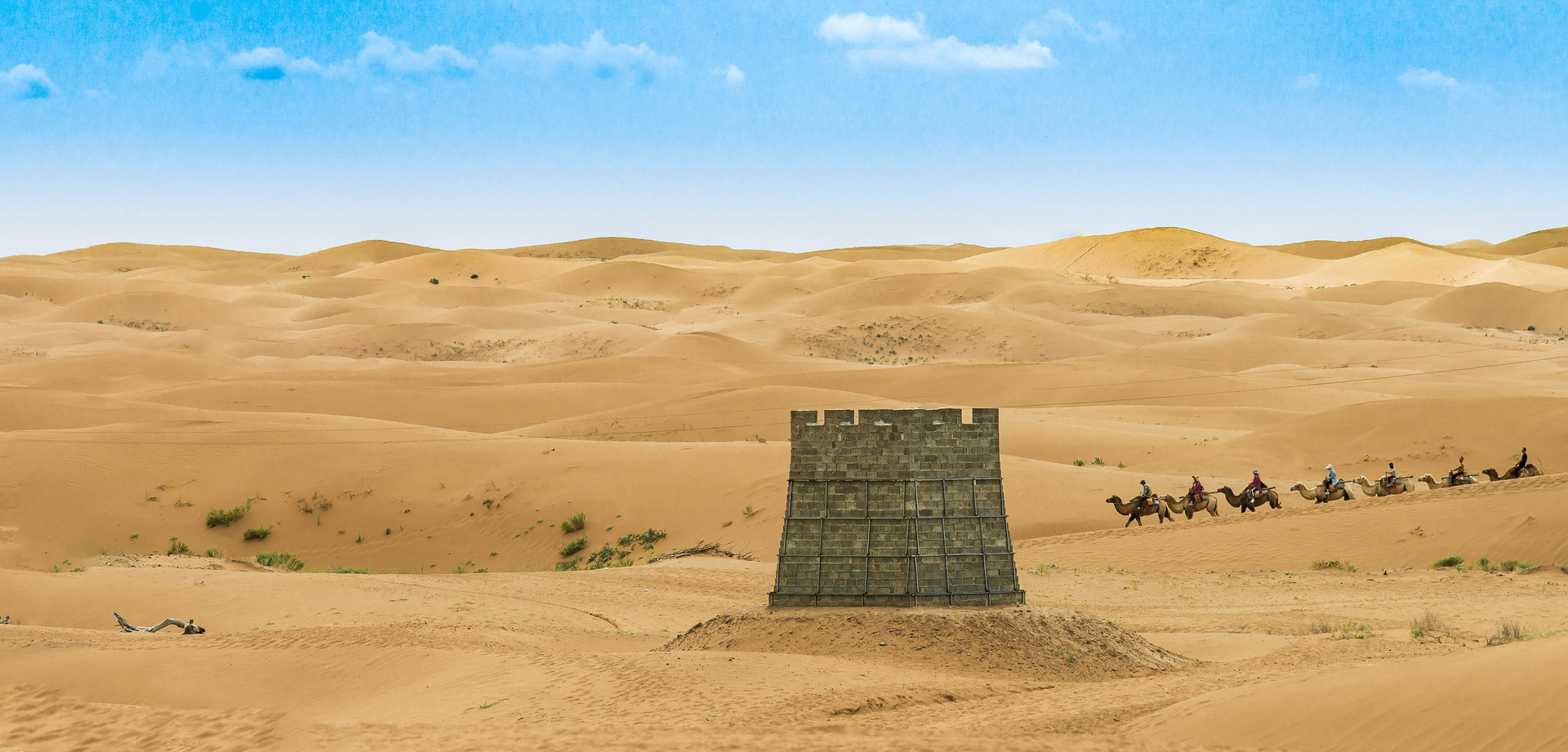 大漠驼队封面图