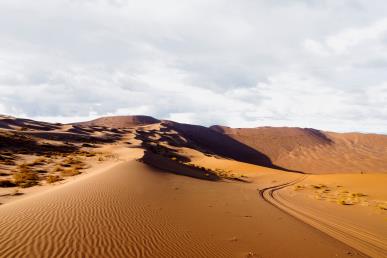 景点：库布齐沙漠