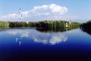 景点：纳林湖旅游区